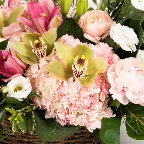 Potomac floral - 4. 5. 6. Find Zip/Postal Code Use Address Book. add to cart. DESCRIPTION SIZES. Order Bright and Stunning - from Potomac Floral Design Studio, your local La Plata florist. For fresh and fast flower delivery throughout La Plata, MD area.